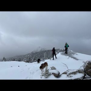 Meet your Posher, Rich